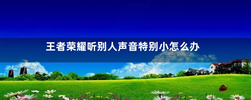王者荣耀听别人声音特别小怎么办