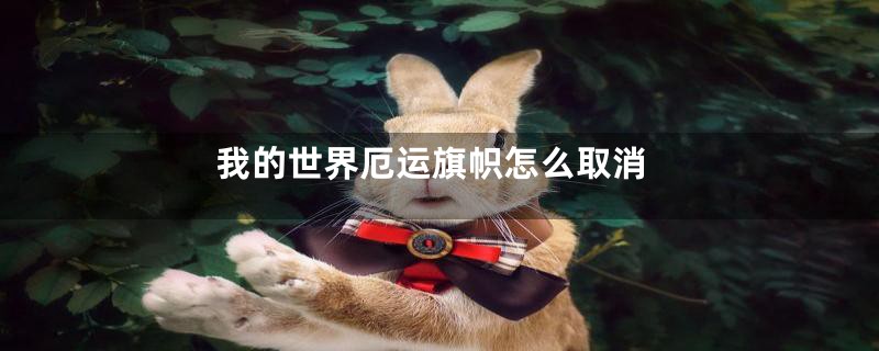 我的世界厄运旗帜怎么取消