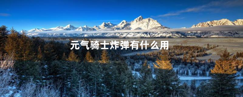 元气骑士炸弹有什么用