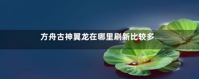 方舟古神翼龙在哪里刷新比较多