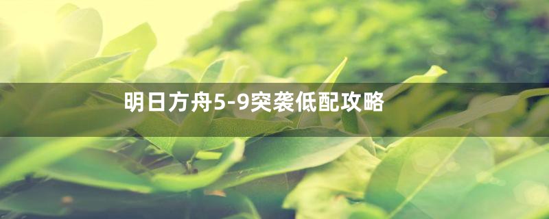明日方舟5-9突袭低配攻略