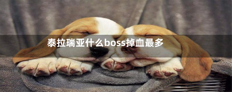 泰拉瑞亚什么boss掉血最多