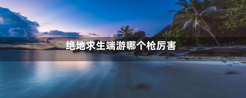绝地求生端游哪个枪厉害