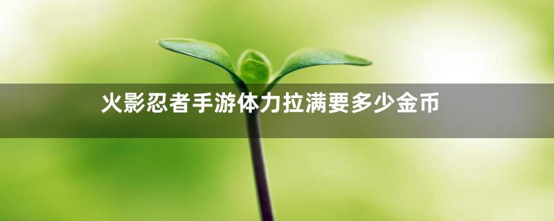 火影忍者手游体力拉满要多少金币