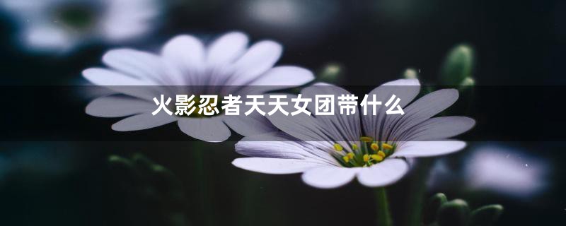 火影忍者天天女团带什么