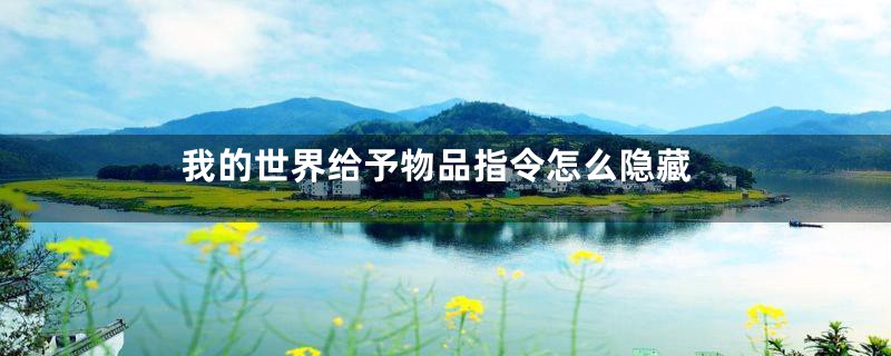 我的世界给予物品指令怎么隐藏