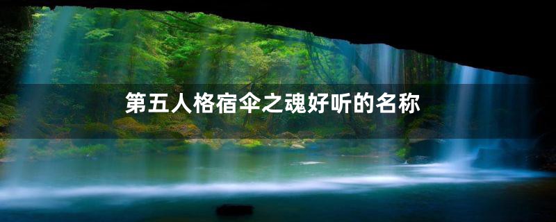 第五人格宿伞之魂好听的名称