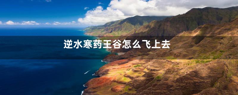 逆水寒药王谷怎么飞上去