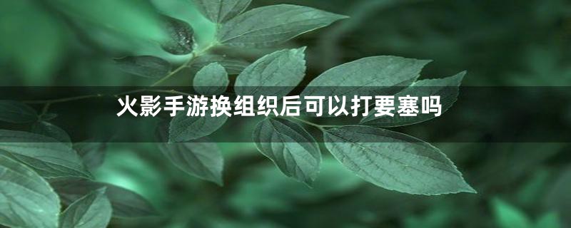 火影手游换组织后可以打要塞吗