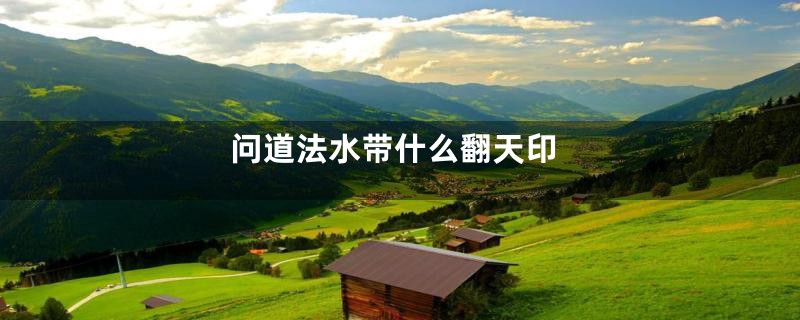 问道法水带什么翻天印