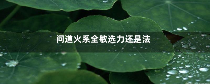 问道火系全敏选力还是法