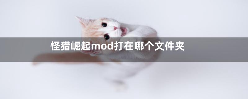 怪猎崛起mod打在哪个文件夹