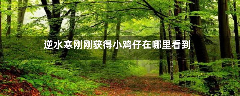逆水寒刚刚获得小鸡仔在哪里看到