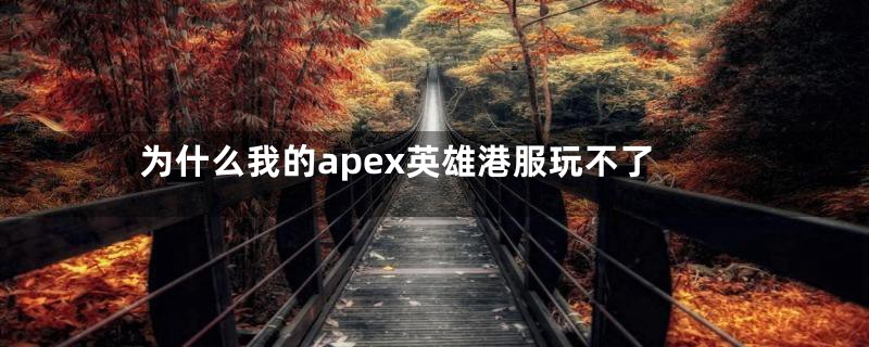 为什么我的apex英雄港服玩不了