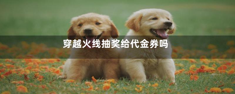 穿越火线抽奖给代金券吗