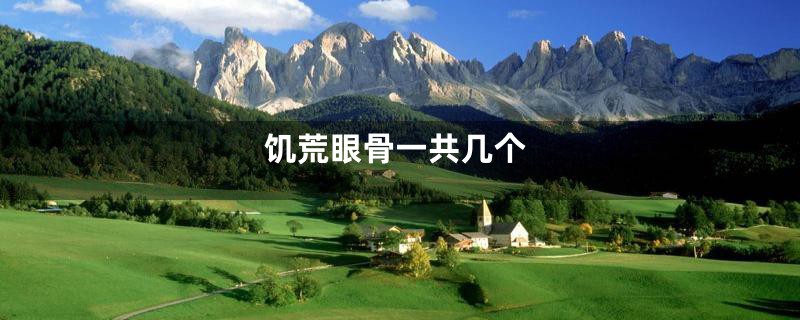 饥荒眼骨一共几个