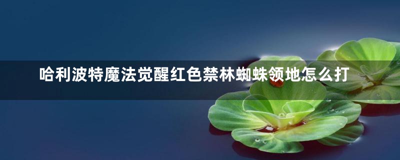 哈利波特魔法觉醒红色禁林蜘蛛领地怎么打