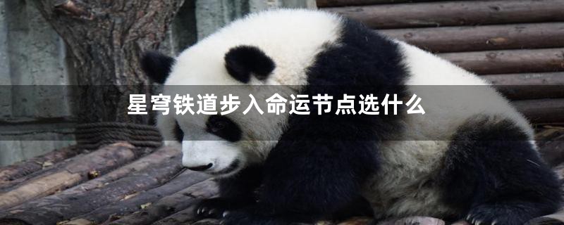 星穹铁道步入命运节点选什么
