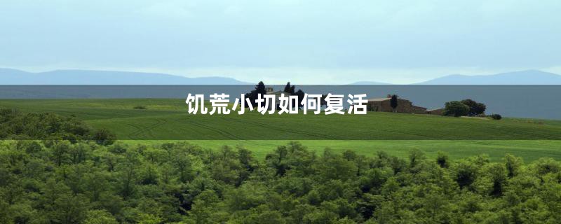 饥荒小切如何复活