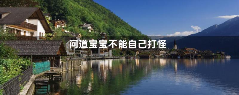 问道宝宝不能自己打怪