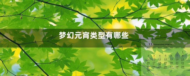 梦幻元宵类型有哪些