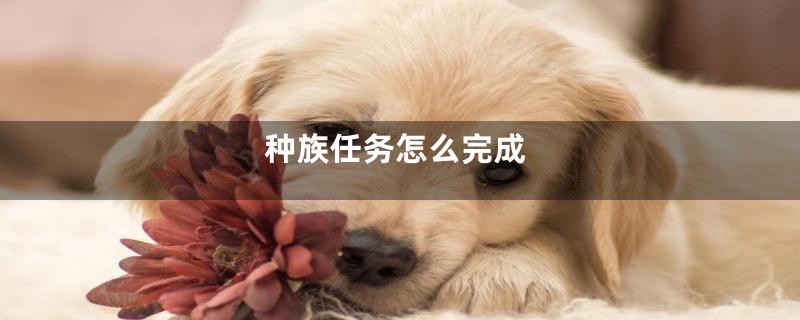 种族任务怎么完成