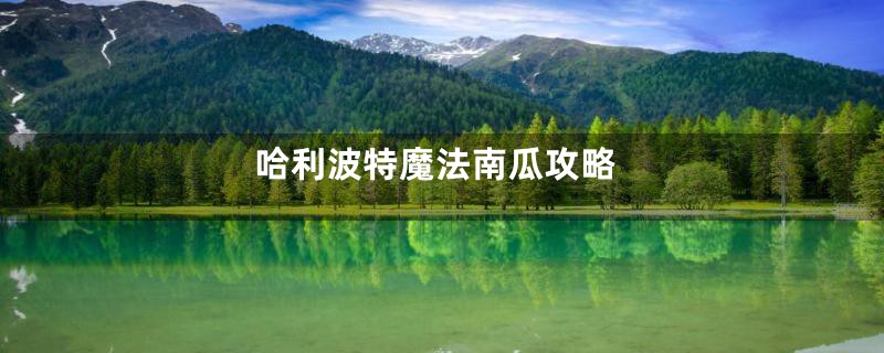 哈利波特魔法南瓜攻略