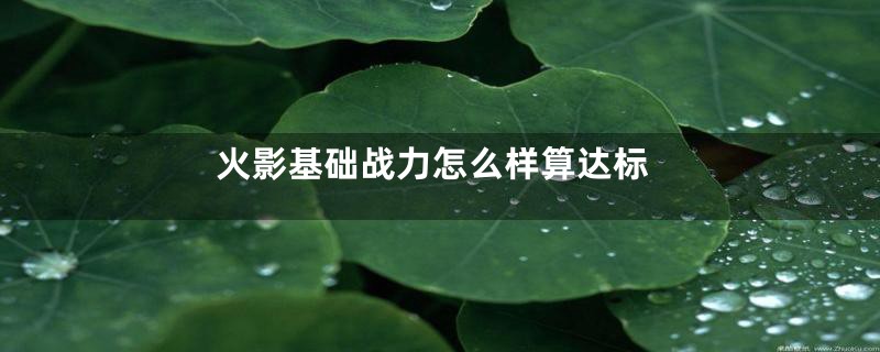 火影基础战力怎么样算达标