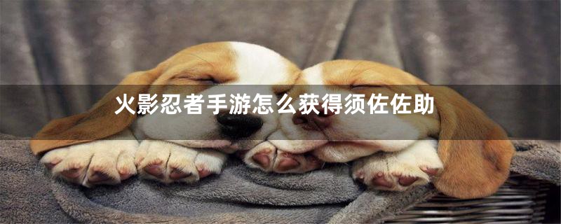 火影忍者手游怎么获得须佐佐助