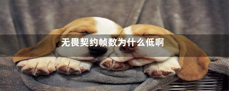 无畏契约帧数为什么低啊