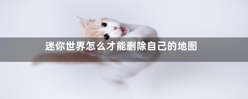 迷你世界怎么才能删除自己的地图