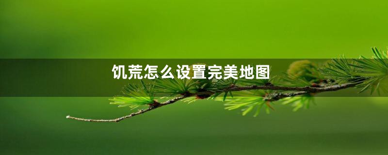 饥荒怎么设置完美地图