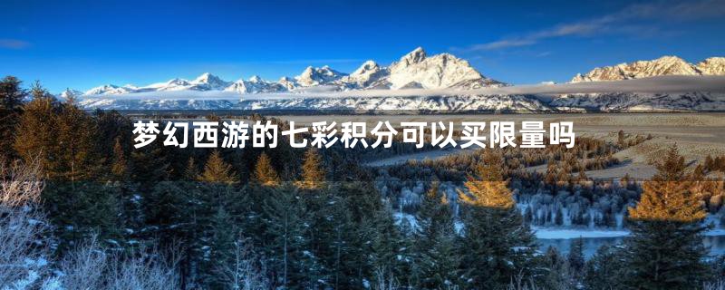 梦幻西游的七彩积分可以买限量吗