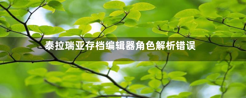 泰拉瑞亚存档编辑器角色解析错误
