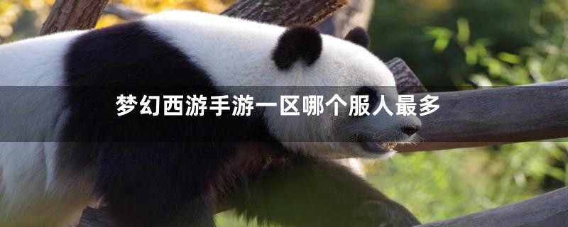 梦幻西游手游一区哪个服人最多