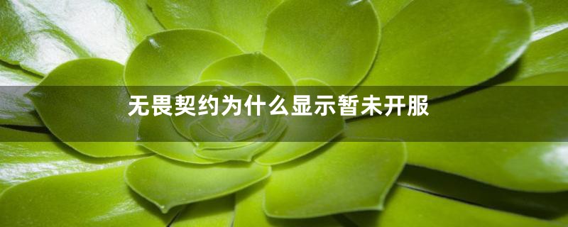 无畏契约为什么显示暂未开服