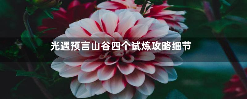 光遇预言山谷四个试炼攻略细节