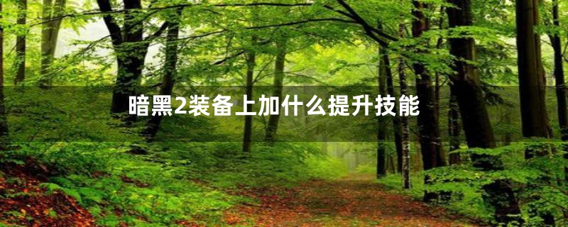 暗黑2装备上加什么提升技能