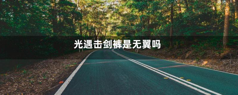 光遇击剑裤是无翼吗