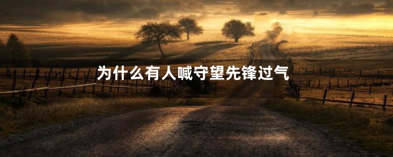 为什么有人喊守望先锋过气
