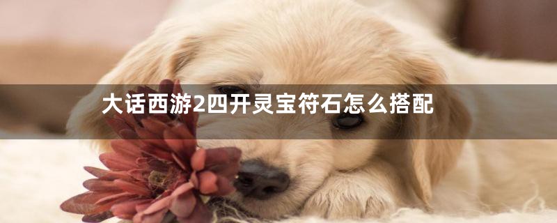 大话西游2四开灵宝符石怎么搭配