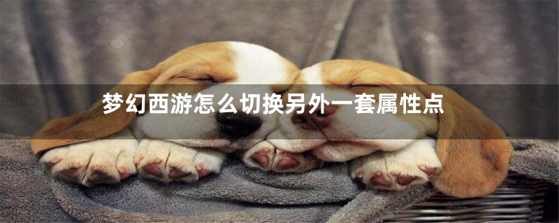 梦幻西游怎么切换另外一套属性点