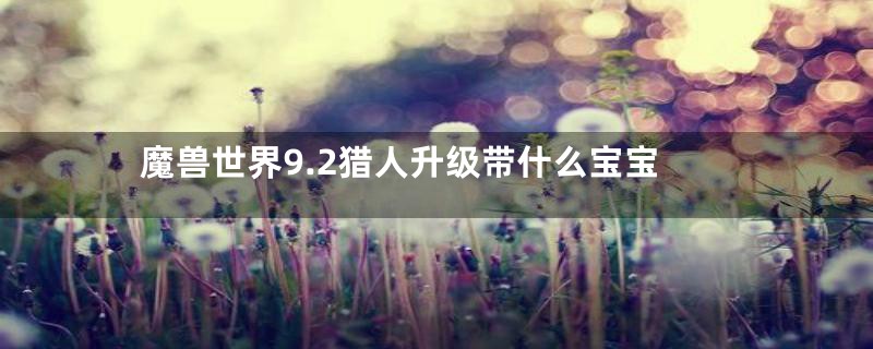 魔兽世界9.2猎人升级带什么宝宝