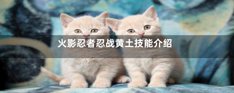 火影忍者忍战黄土技能介绍