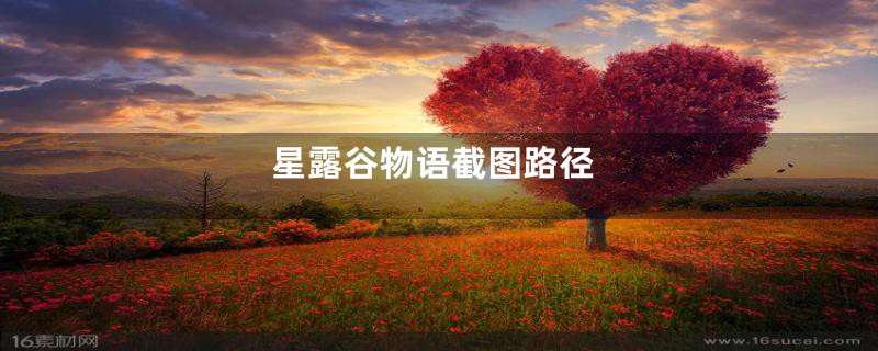 星露谷物语截图路径