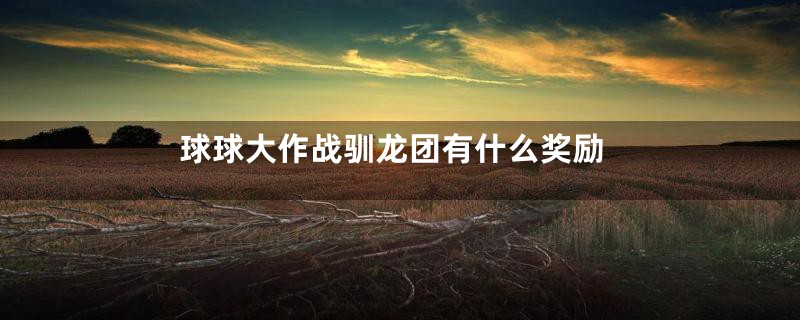 球球大作战驯龙团有什么奖励