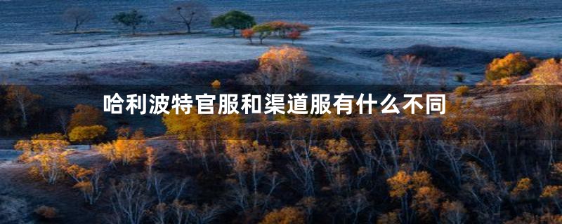 哈利波特官服和渠道服有什么不同