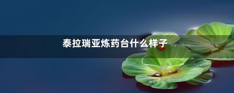 泰拉瑞亚炼药台什么样子