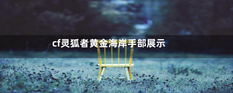 cf灵狐者黄金海岸手部展示