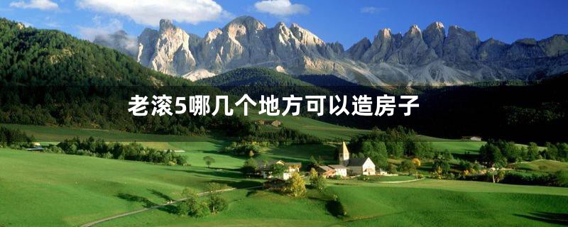 老滚5哪几个地方可以造房子